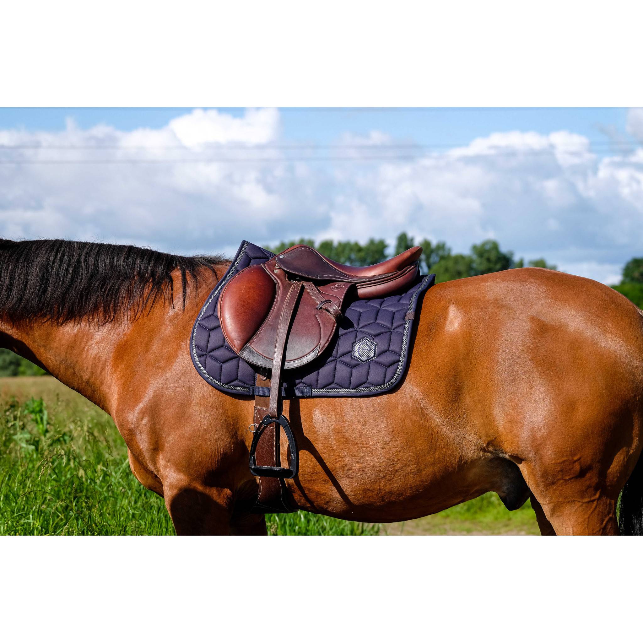EQUITHÈME Softhex Saddle Pad - All purpose Navy blue 204005007