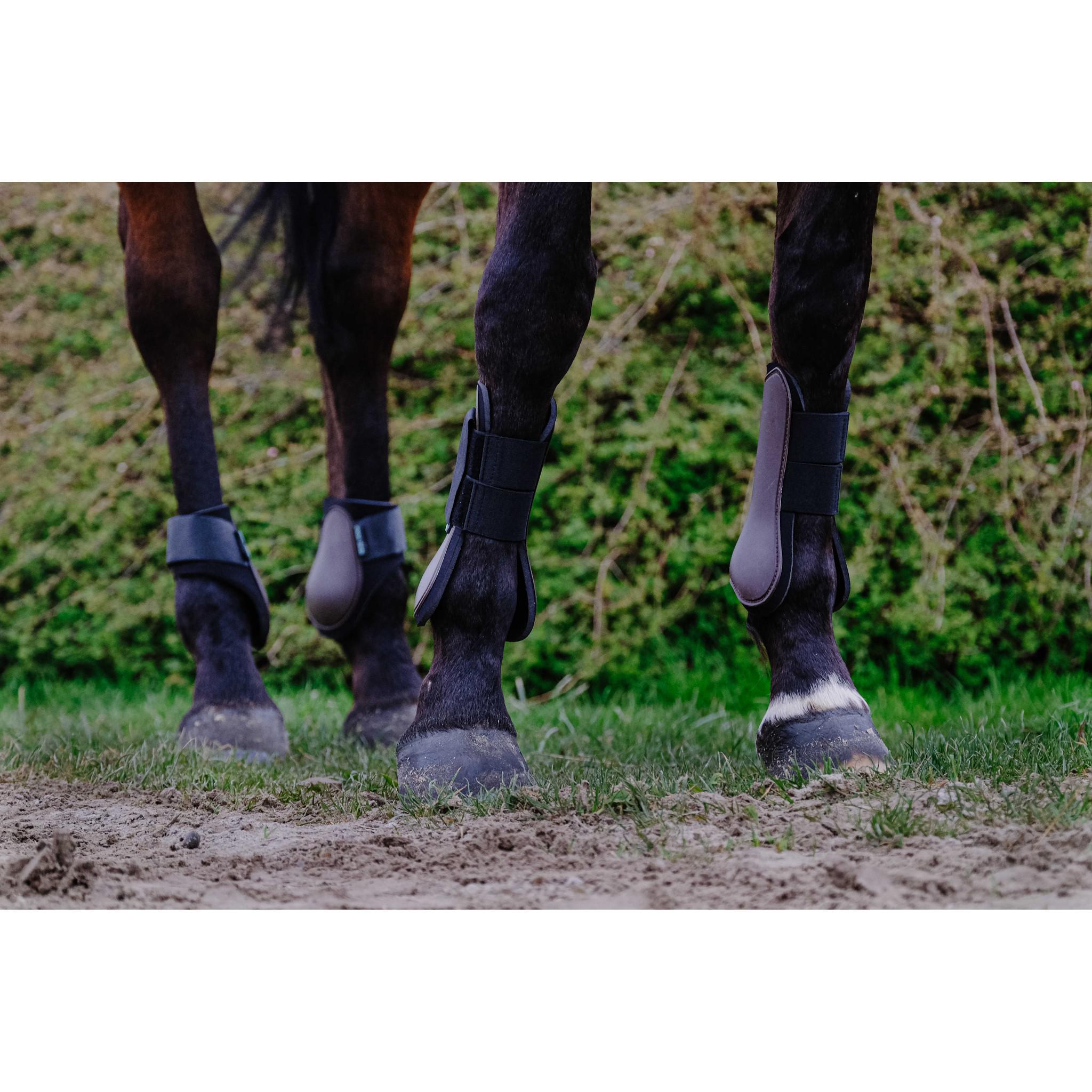 Riding World Fetlock boots chestnut brown 530122004