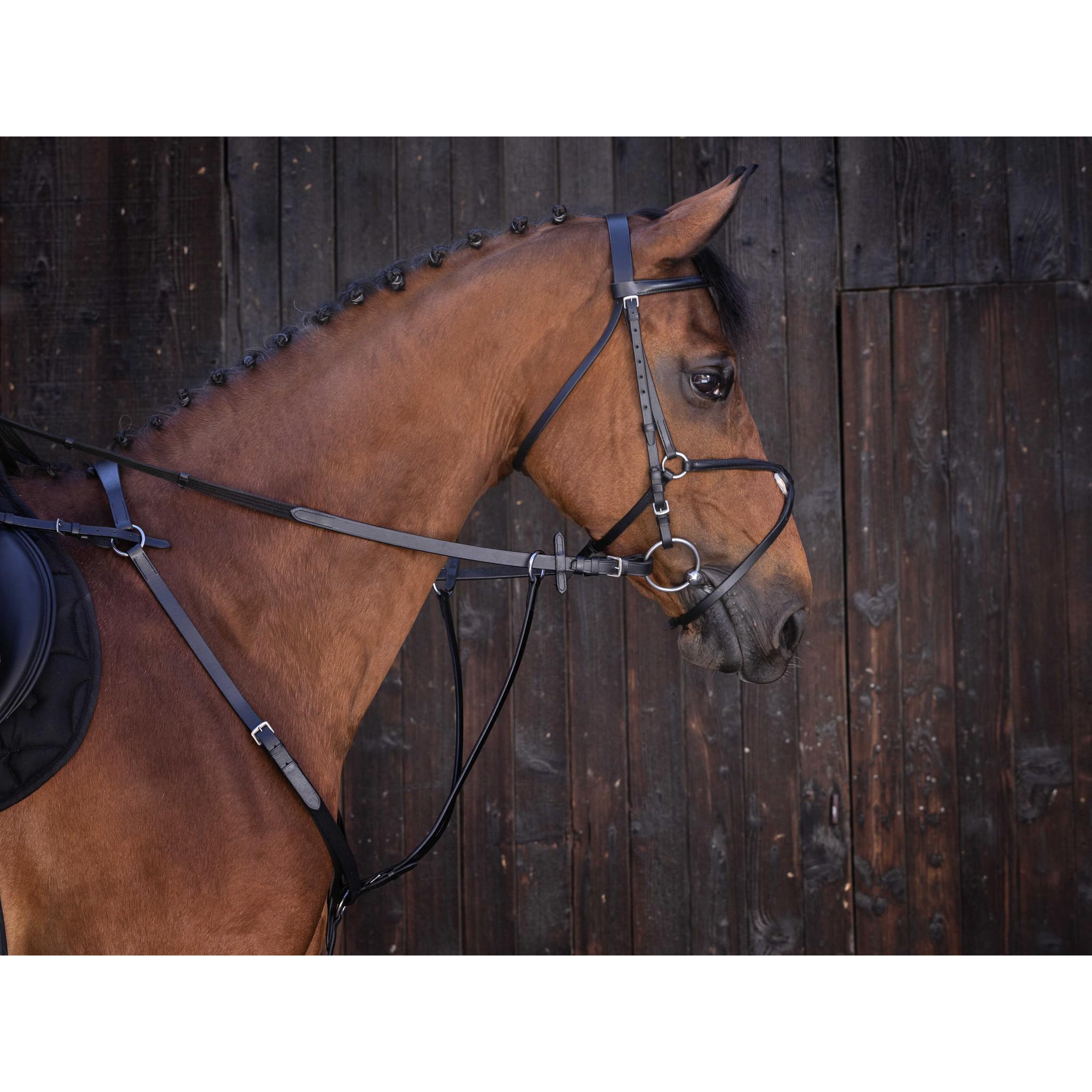 Running martingale Riding World Black 306121302