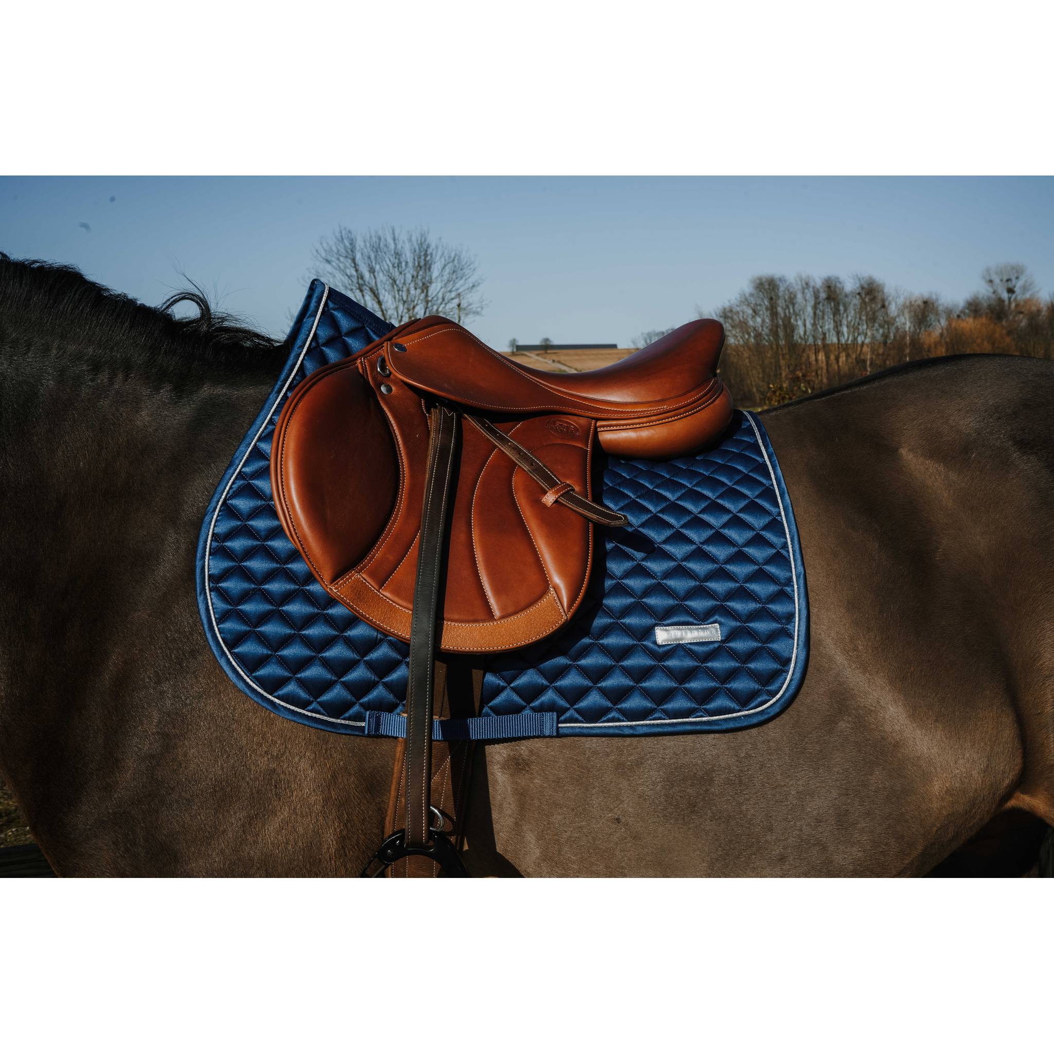 EQUITHÈME All-Purpose Saddle Pad - Mother-of-Pearl Steel blue - 204029040_ambi_1