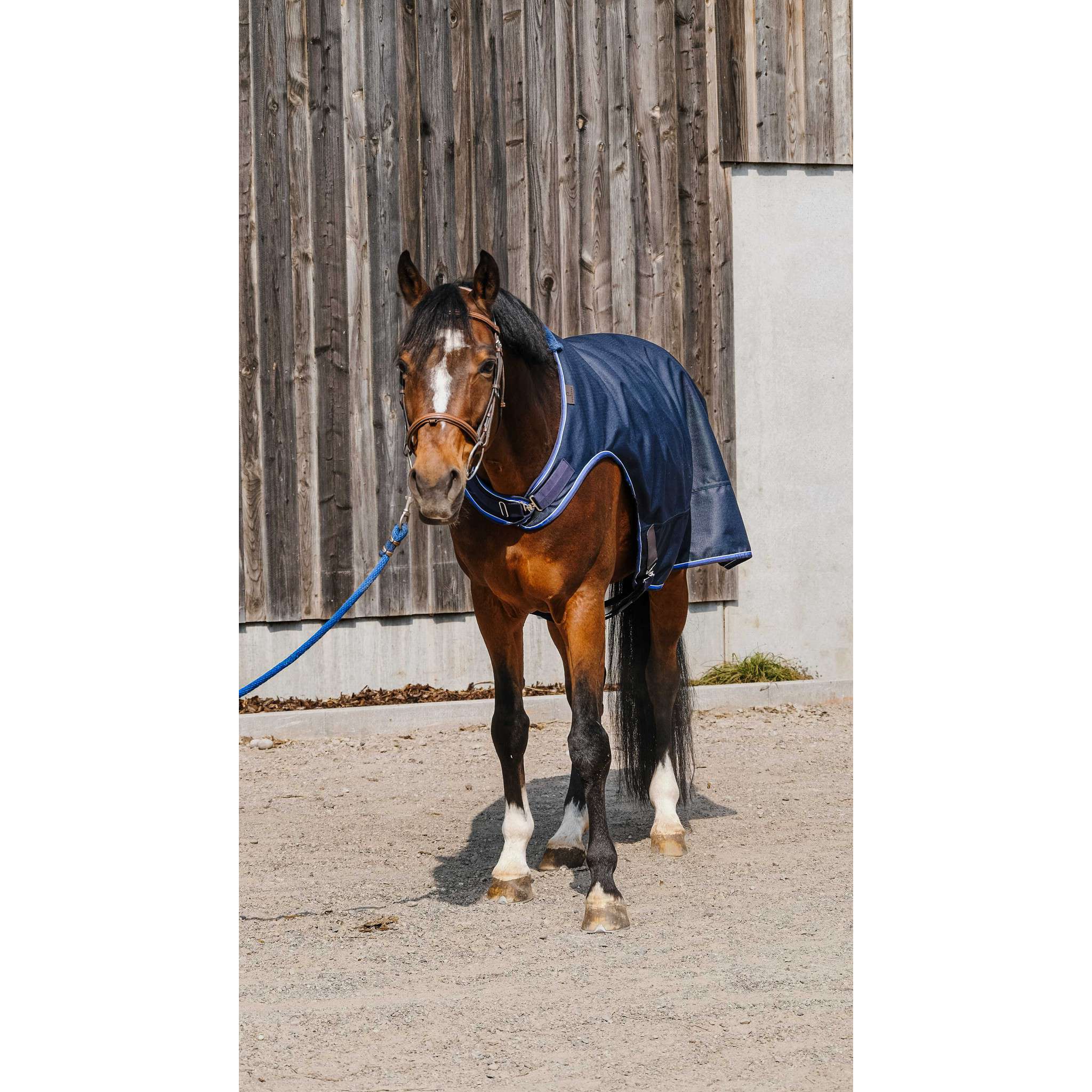 EQUITHÈME Classic 1200D Walker rug Navy blue 400632059