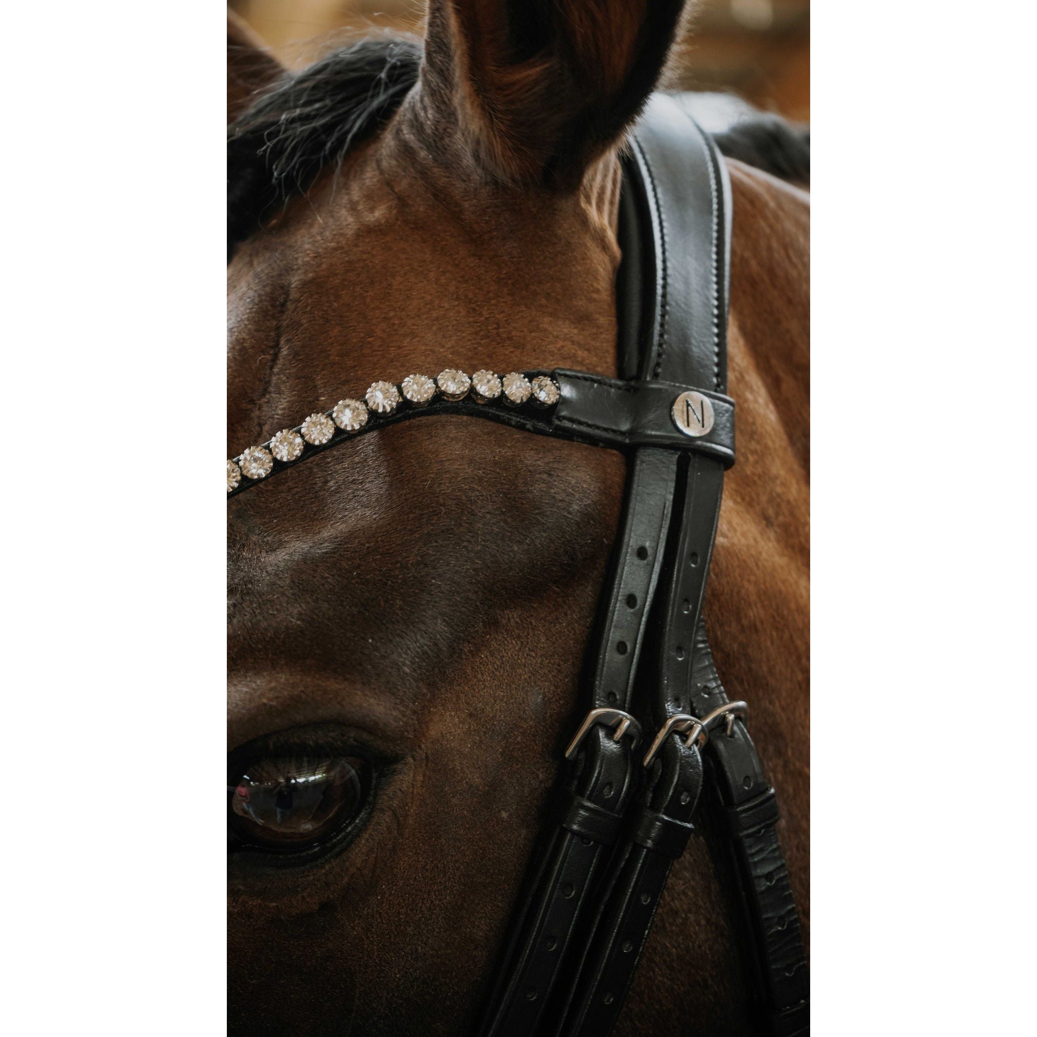Norton Diams Bridle Black 301824302