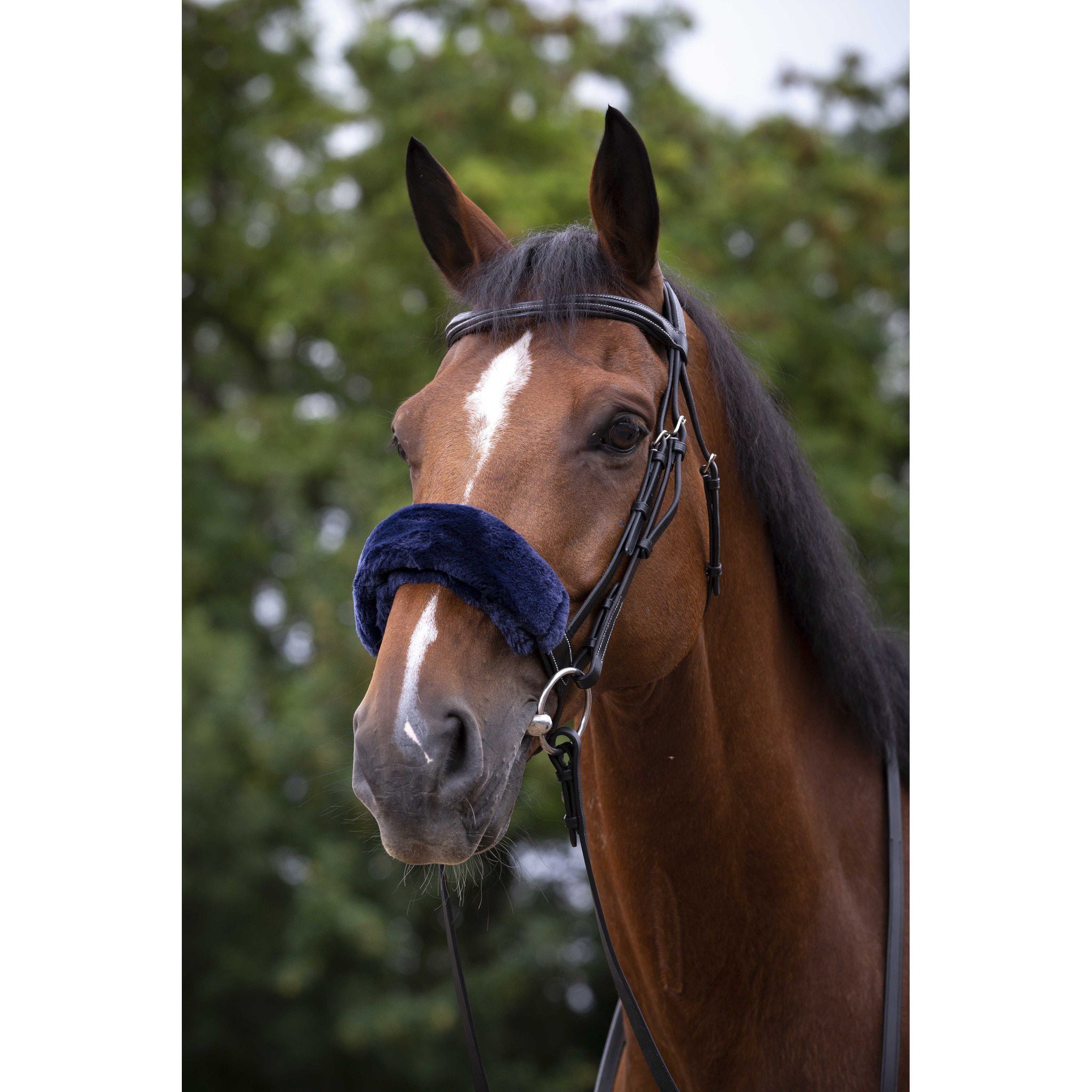 EQUITHÈME Teddy noseband sleeve Navy blue 207501307