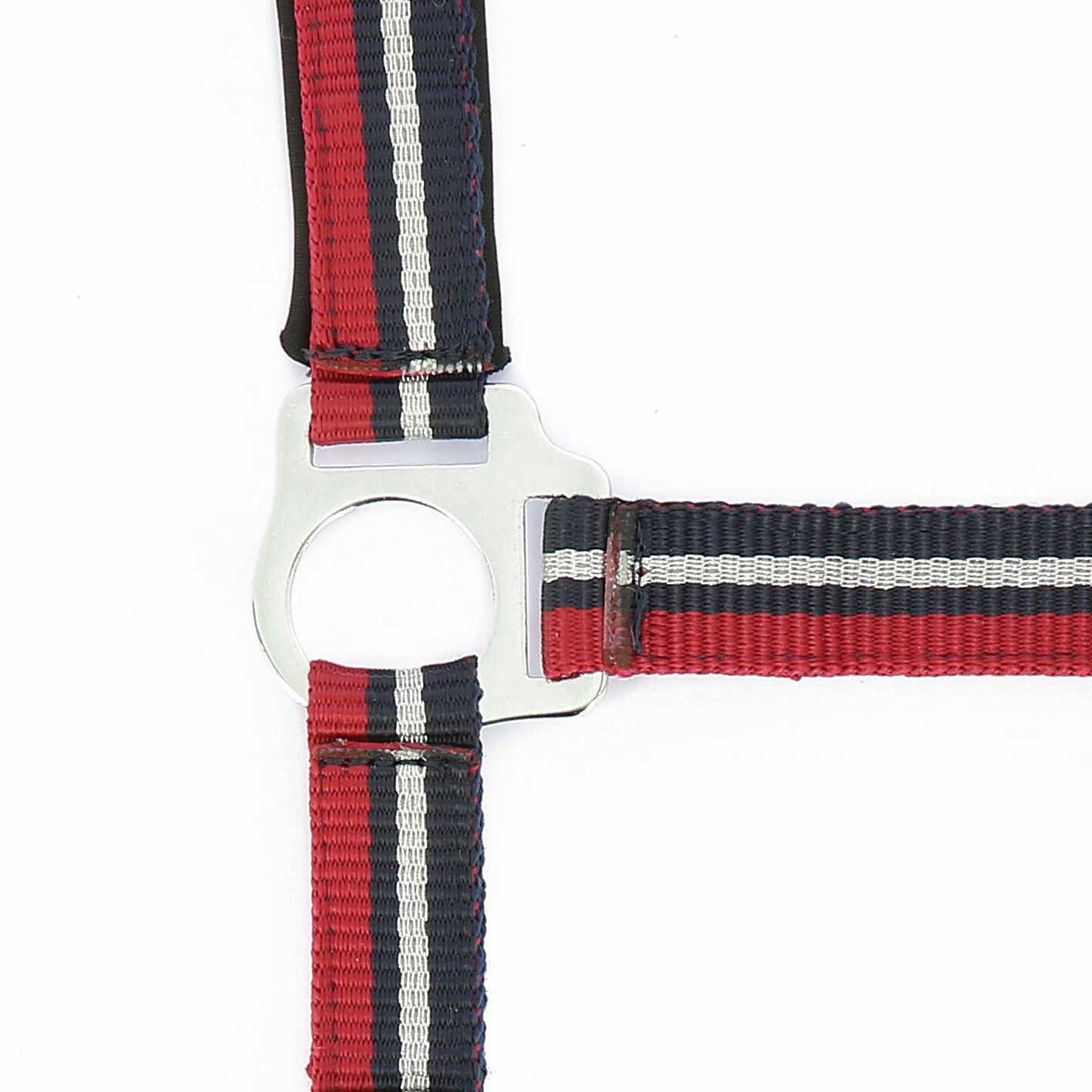 Norton Shining Halter + Lead Rope Red/navy blue 510609003