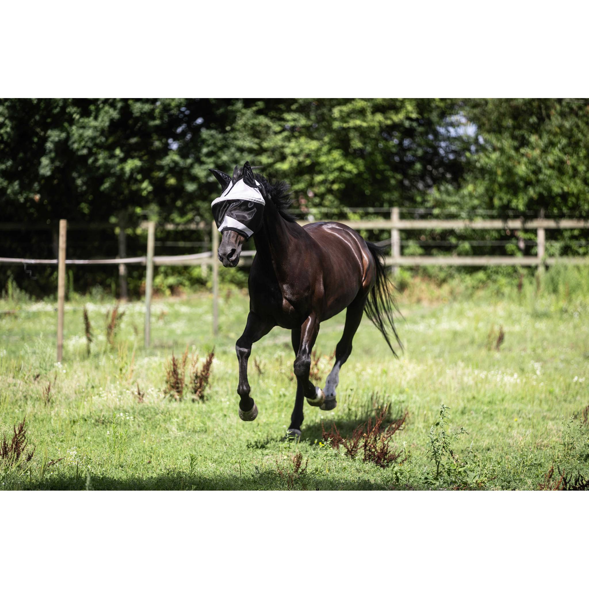LAMI-CELL Easyfit Fly Mask Grey - 306048311_ambi_3