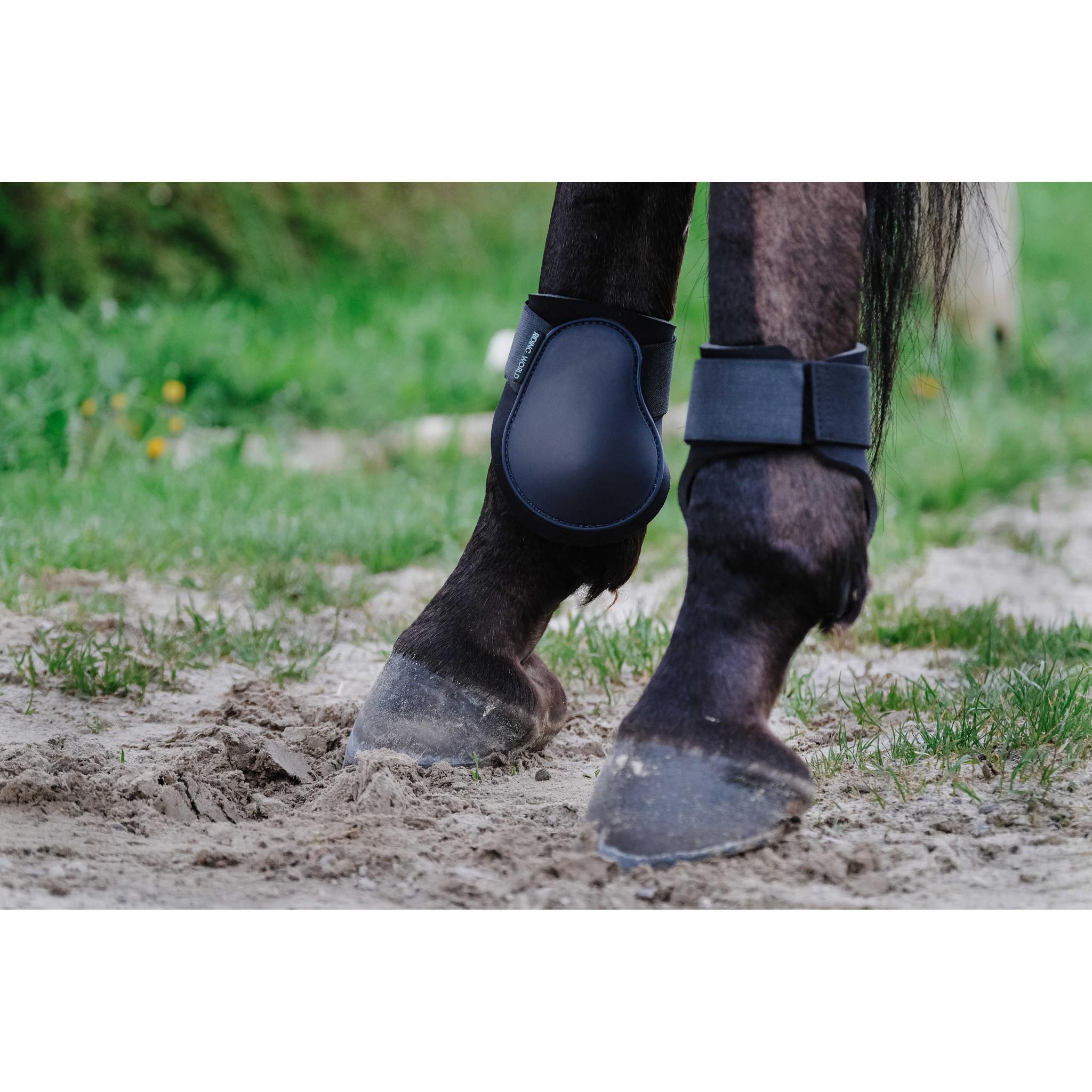 Riding World Fetlock boots Navy blue 530122007