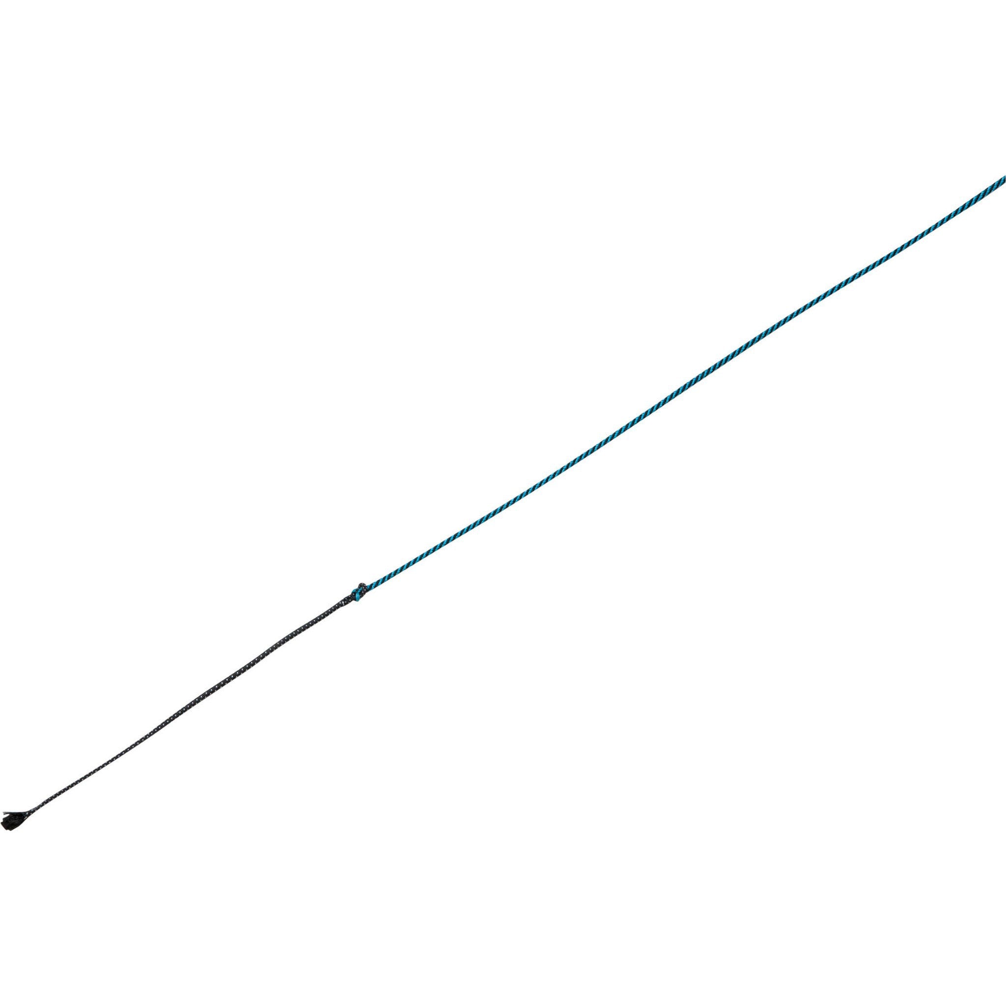 WHIP & GO - Removable Tourillon - Lunge Whip Black/turquoise 953404002