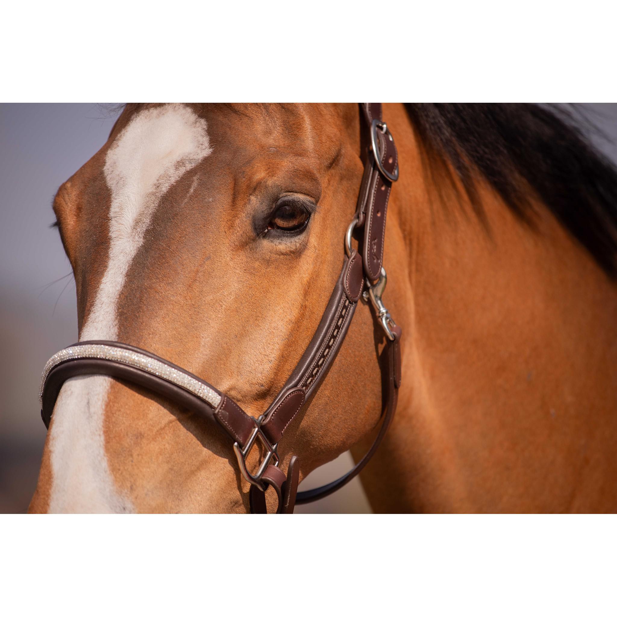 Pénélope Harmonie Halter Havana 301611318