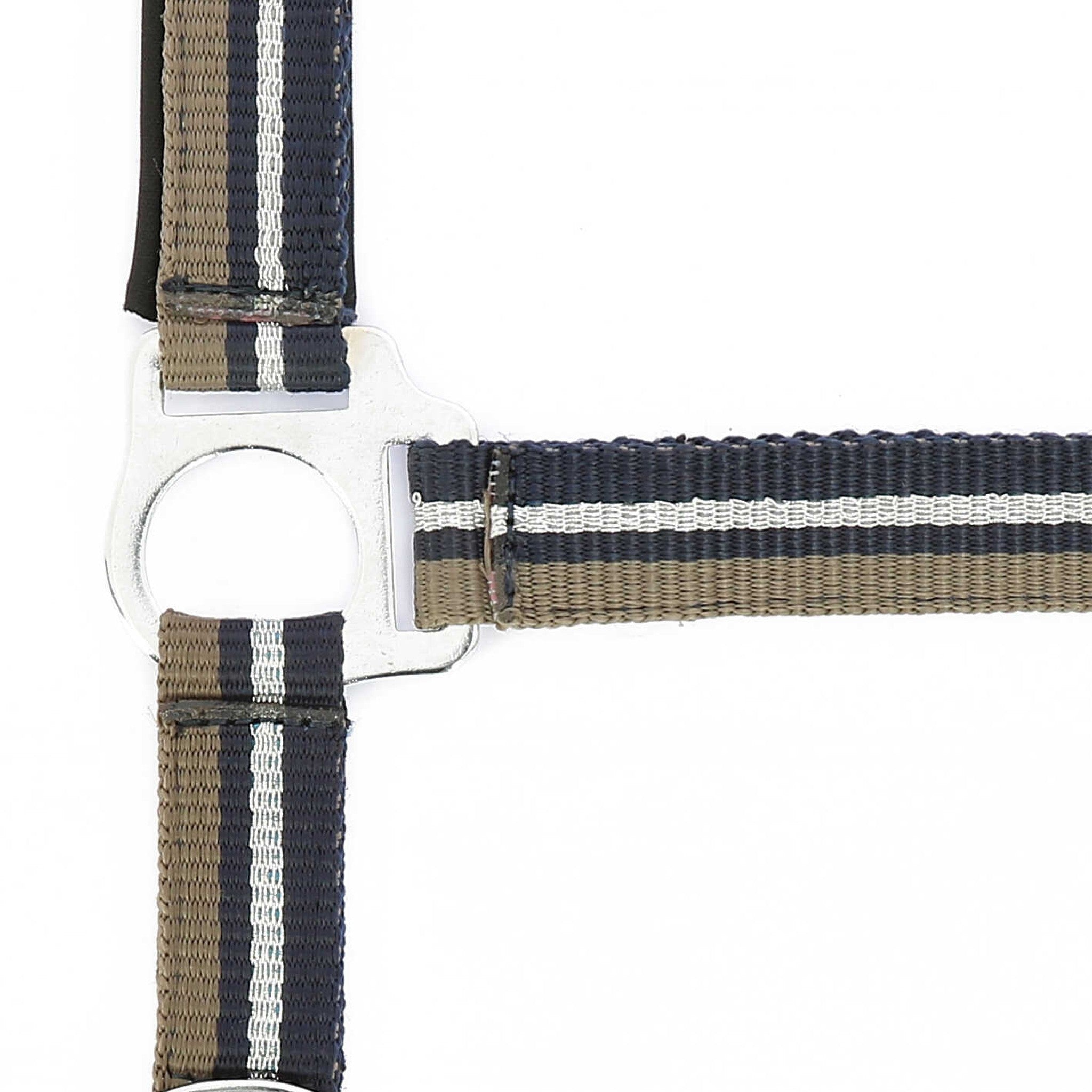 Norton Shining Halter + Lead Rope Taupe /navy blue 510609027