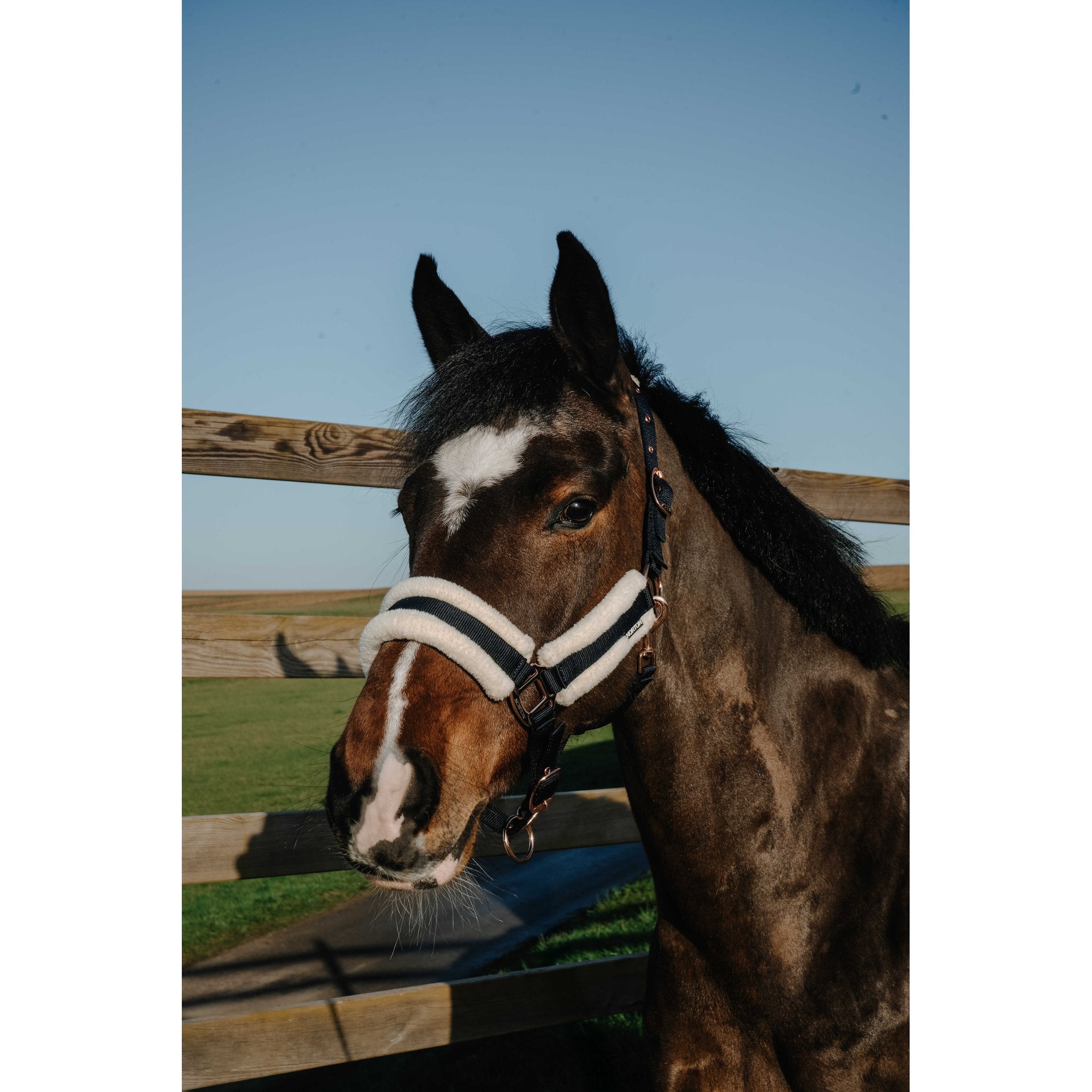 NORTON Comfy Halter Black - 510280302_ambi_1