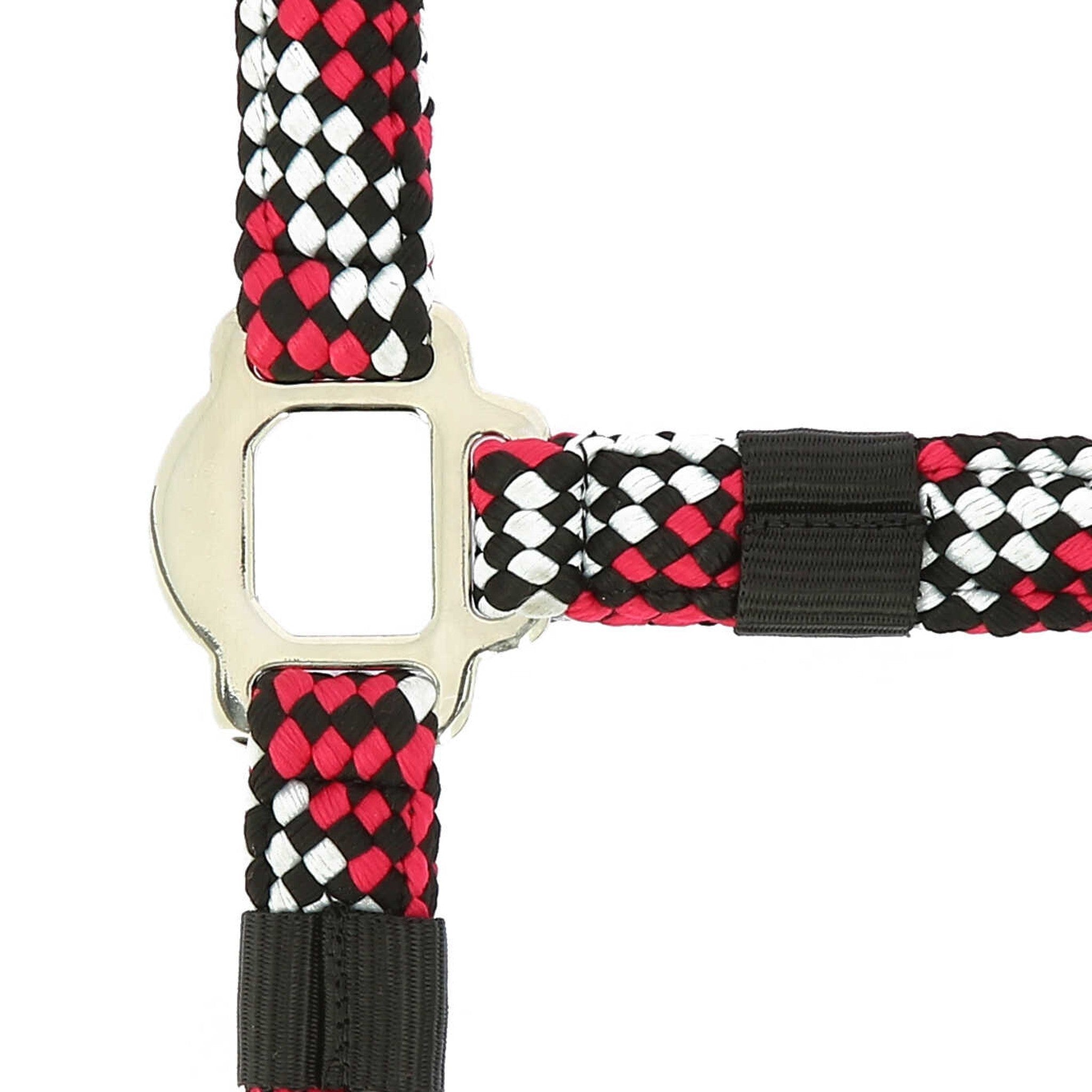 EQUITHÈME Braided Halter + Lead Rope Fuchsia/grey 510629321