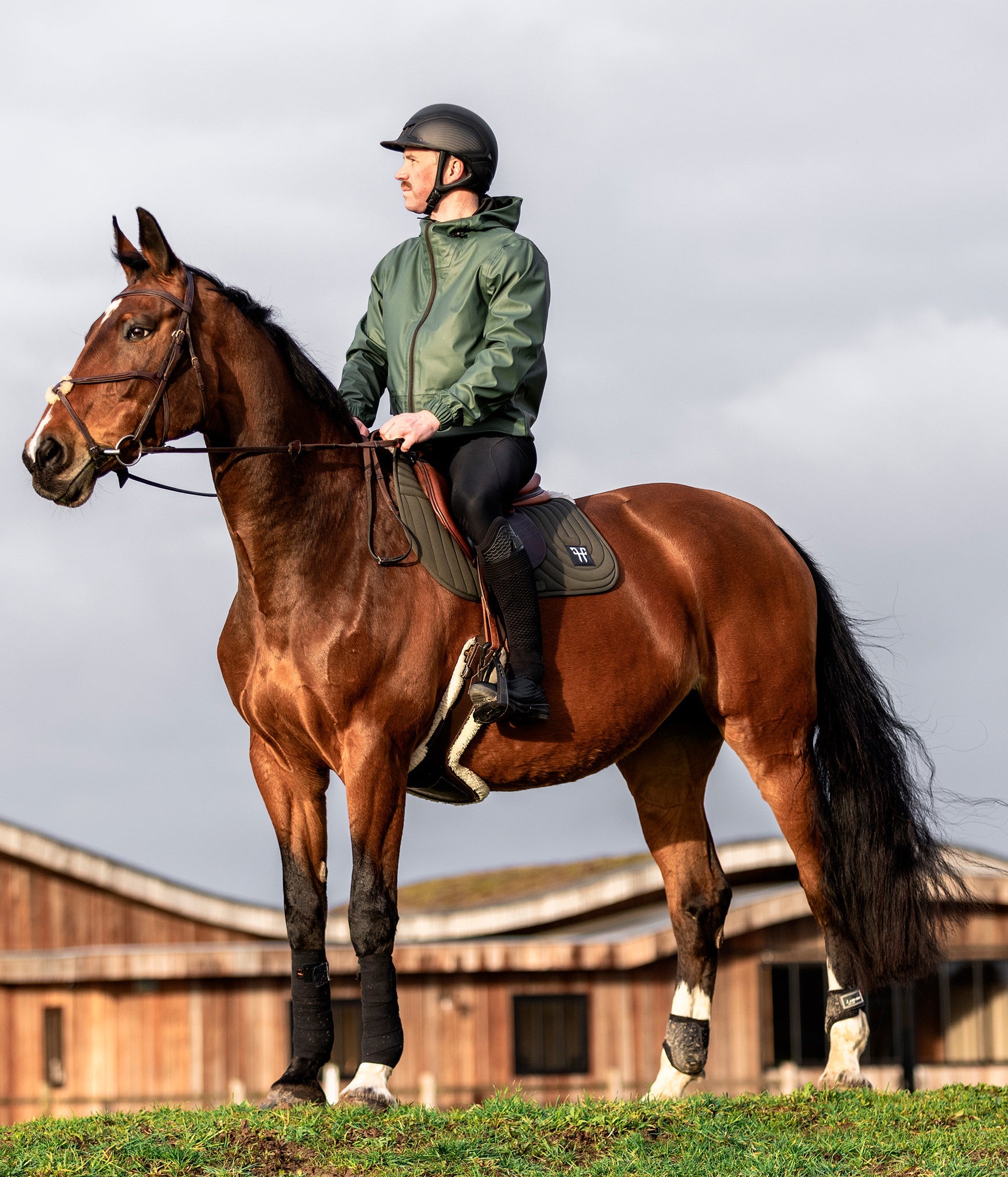 Horse Pilot Saddle Pad - Forest Night